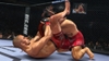 UFC Undisputed 2010, 50586_gsp_vs_hardy_0049.jpg