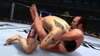 UFC Undisputed 2010, 50594_mir_vs_carwin_0048.jpg