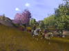 Vanguard: Saga of Heroes, horses_2_w1024.jpg