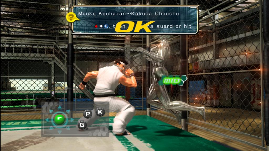 Virtua Fighter 5