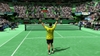 Virtua Tennis 4 , 22307djokovoc_v_roddick_hard8.jpg