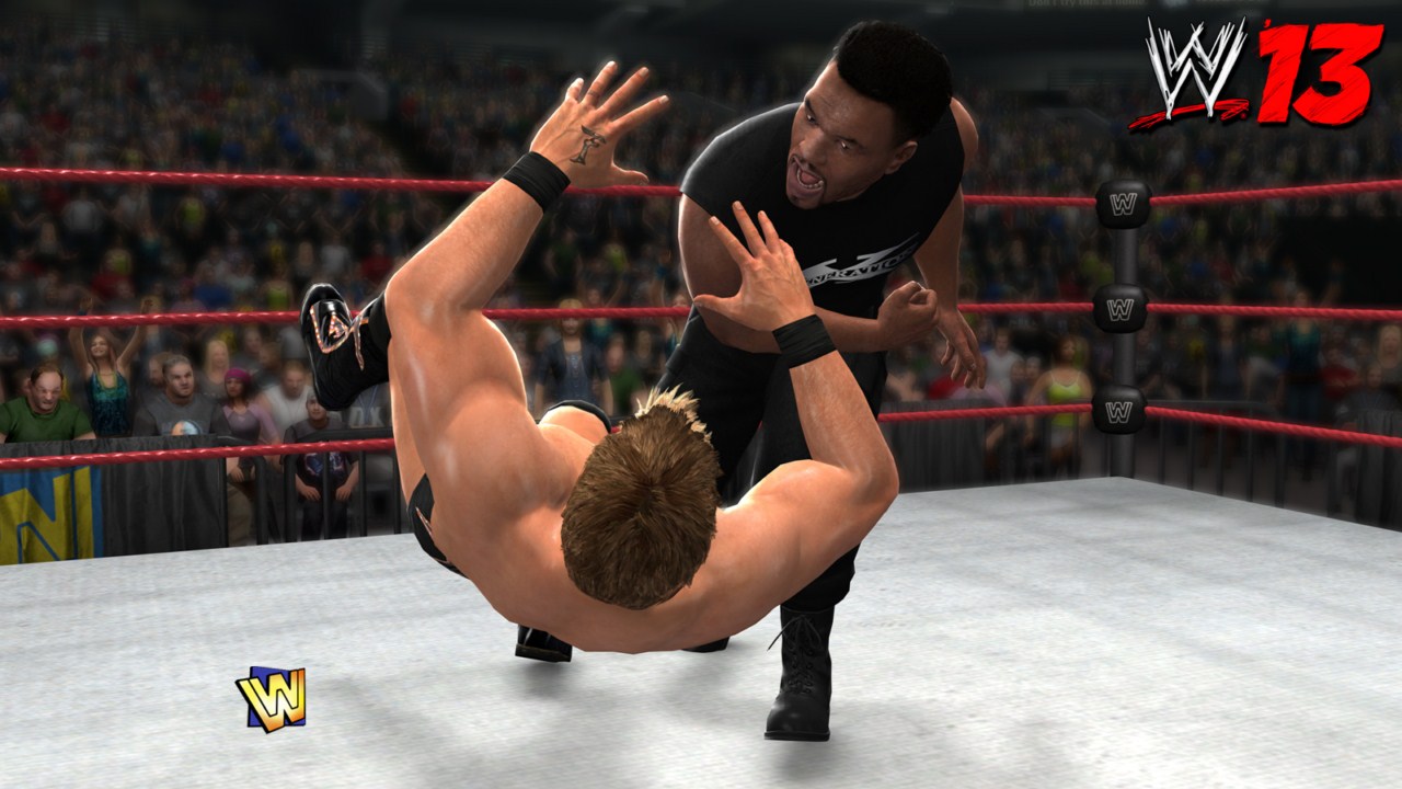 WWE 13