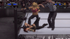 WWE SmackDown vs. RAW 2007, 38248_wwesmackdownvsr.jpg