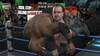 WWE SmackDown vs. RAW 2008, 40051_wwesmackdownvsr.jpg