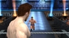 WWE Smackdown vs Raw 2011, 51706_wwe_universe_screenshots_hd_jerichoenterssheamus1.jpg