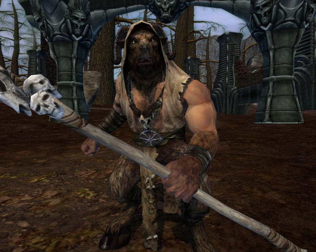 Warhammer Online: Age of Reckoning