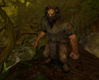 Warhammer Online: Age of Reckoning, beastman_gor.jpg