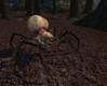 Warhammer Online: Age of Reckoning, giant_spider.jpg