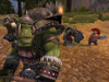 Warhammer Online: Age of Reckoning, orc_1.jpg
