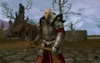 Warhammer Online: Age of Reckoning, warrior_priest_26.jpg