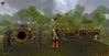 Warhammer Online: Age of Reckoning, warrior_priest_3.jpg