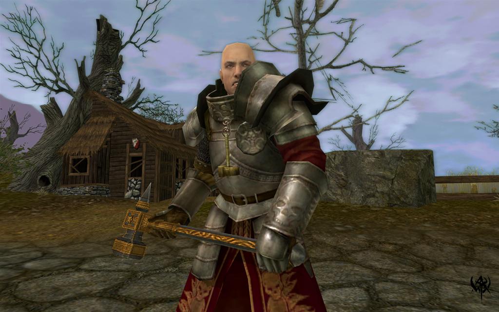 Warhammer Online: Age of Reckoning