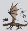 Warhammer Online: Age of Reckoning - Artwork, modelsheet_genericdragon.jpg