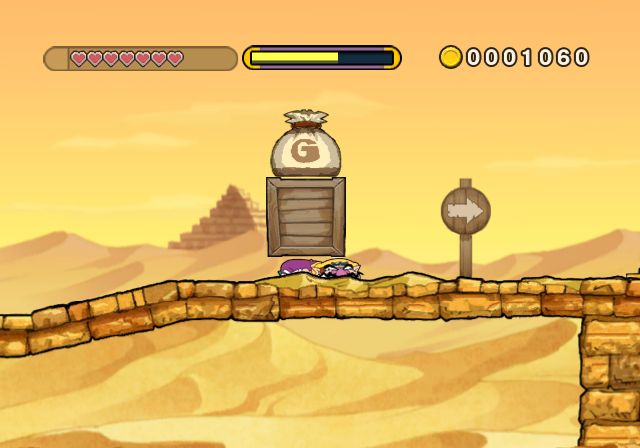 Wario Land: The Shake Dimension