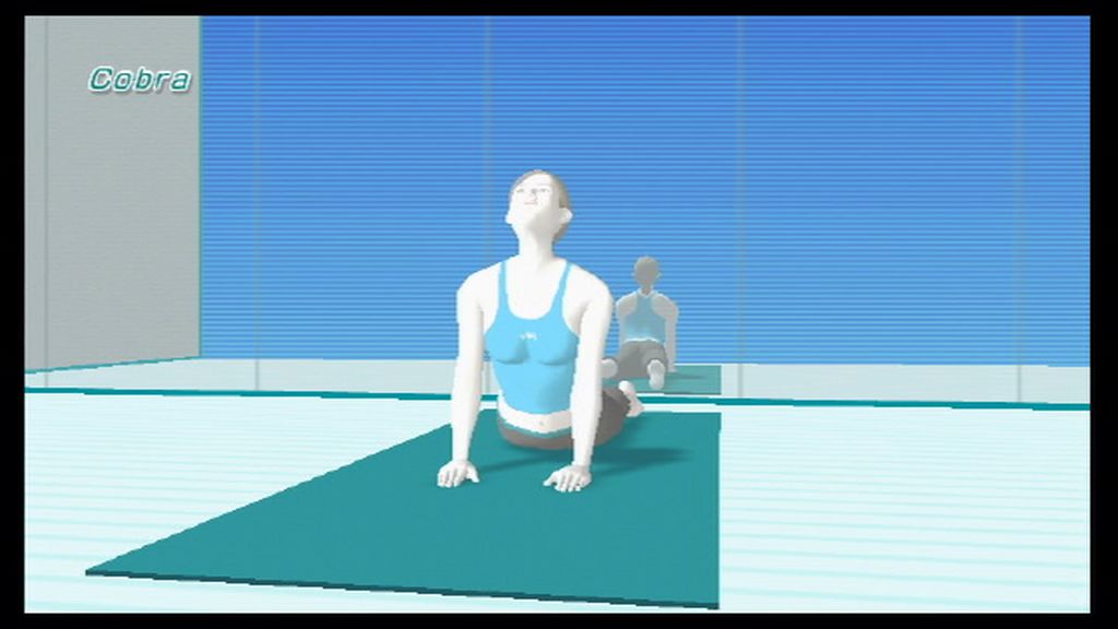 Wii Fit