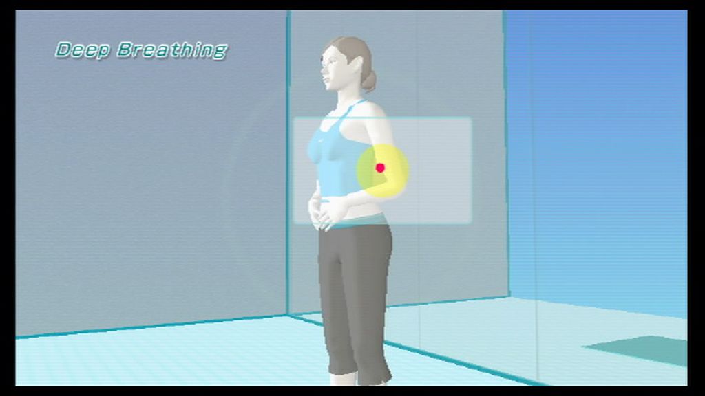 Wii Fit