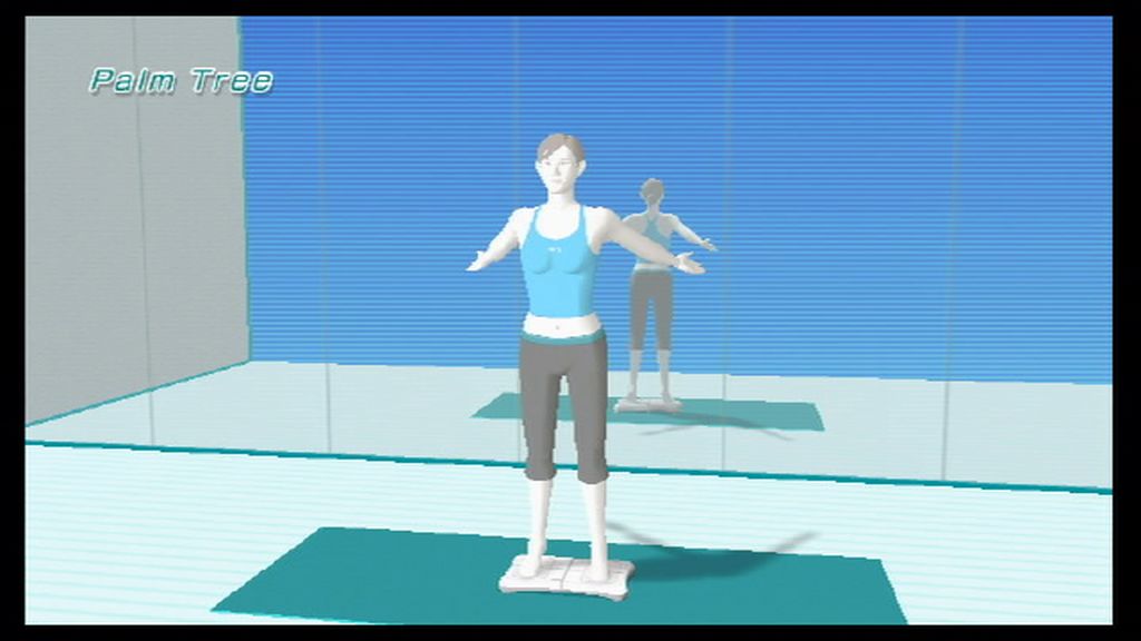 Wii Fit