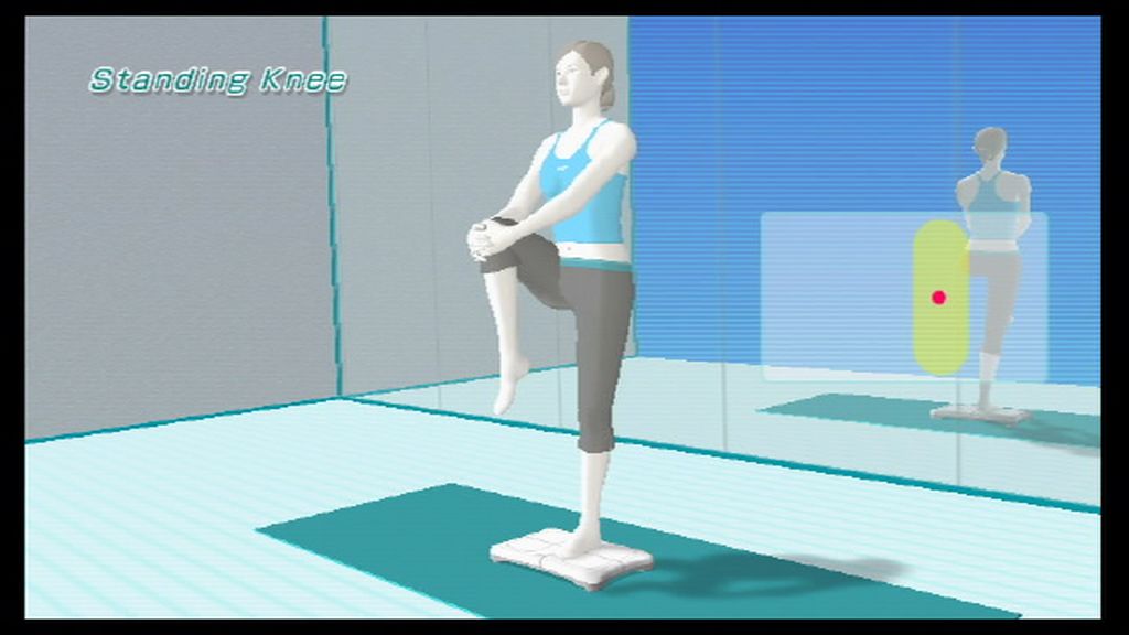 Wii Fit