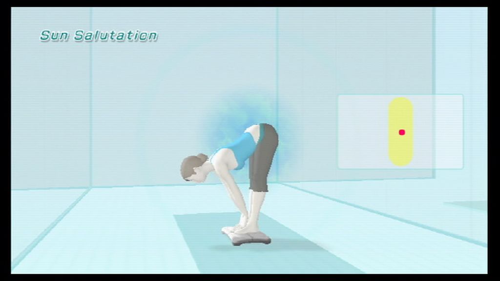 Wii Fit