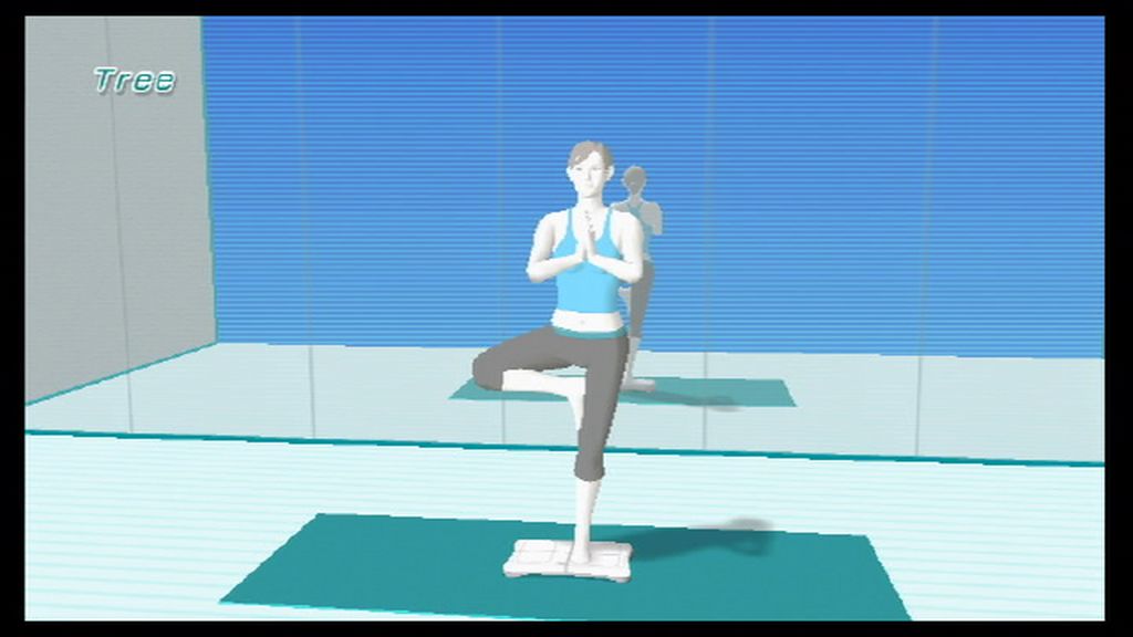 Wii Fit