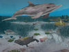 Zoo Tycoon 2: Marine Mania, x06_all_zt2marinemania_ss_01.jpg