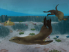 Zoo Tycoon 2: Marine Mania, x06_all_zt2marinemania_ss_07.jpg