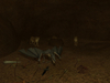 EverQuest II, unearthed_07.jpg