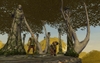 The Lord of the Rings Online: Shadows of Angmar, lothlorien_screenshots_14.jpg