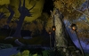 The Lord of the Rings Online: Shadows of Angmar, lothlorien_screenshots_15.jpg