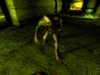 S.T.A.L.K.E.R. Shadow of Chernobyl, 38908_stalkershadowof.jpg