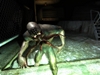 S.T.A.L.K.E.R. Shadow of Chernobyl, 39174_stalkershadowof.jpg