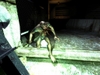 S.T.A.L.K.E.R. Shadow of Chernobyl, 39335_stalkerradiatio_1024.jpg